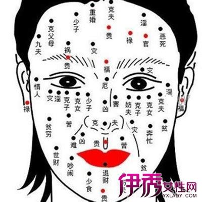 右下眼皮有痣|女人右眼下有痣命运 女人右眼痣图解大全